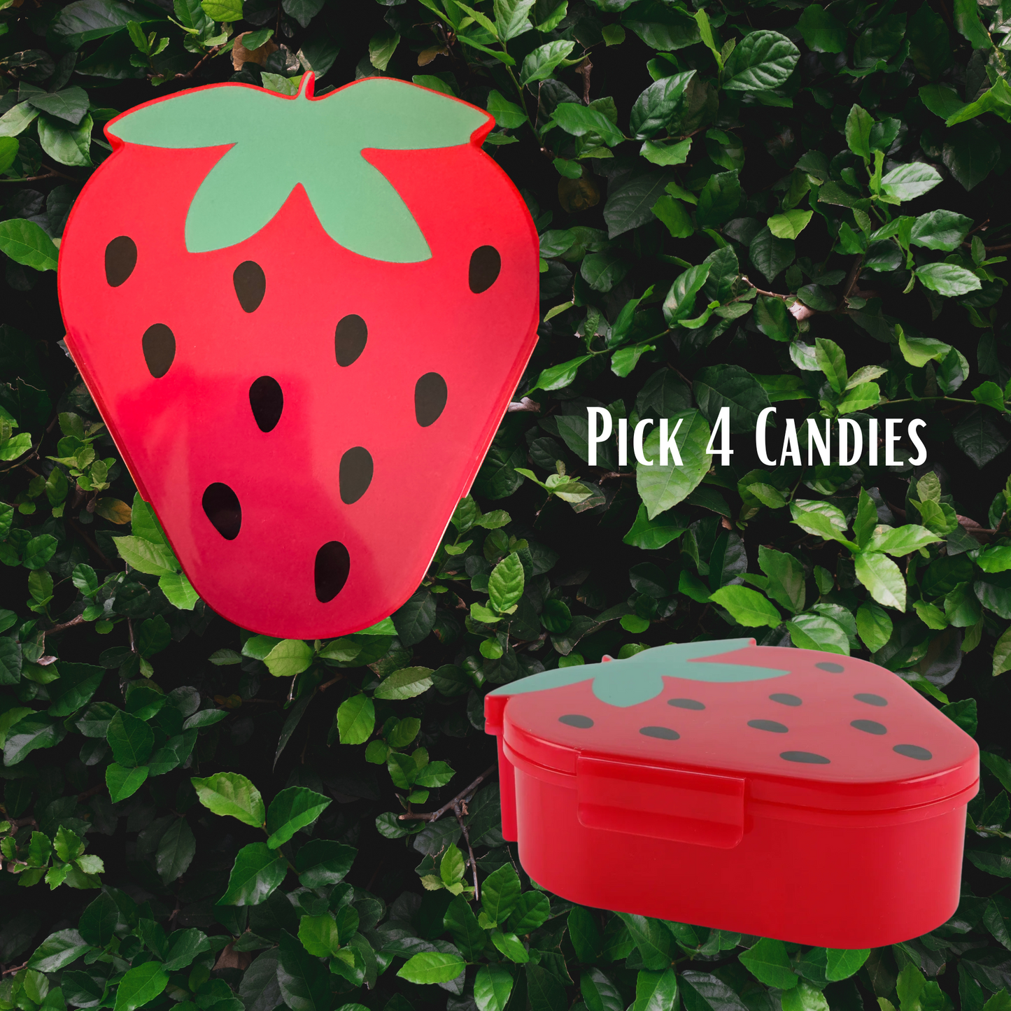2lb Cute Candy Snackle box