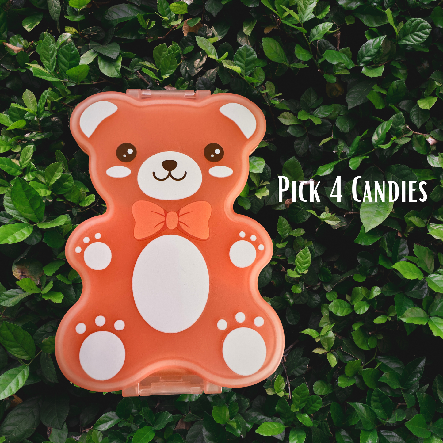 2lb Cute Candy Snackle box