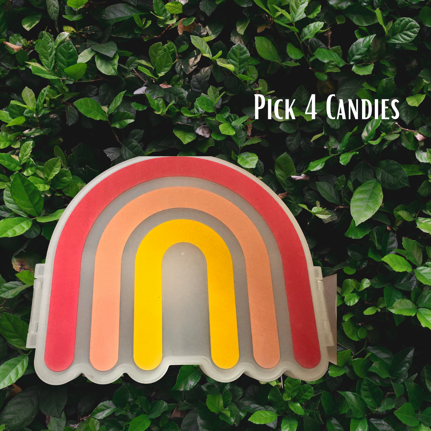 2lb Cute Candy Snackle box